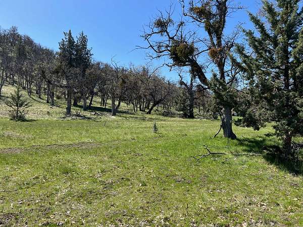 0.55 Acres of Residential Land for Sale in Montague, California