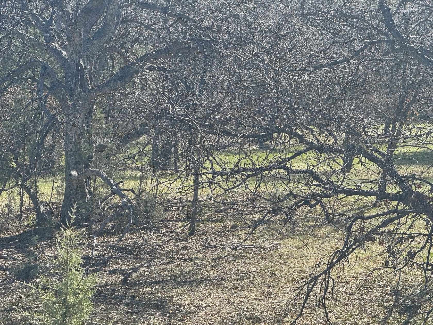 0.96 Acres of Land for Sale in Hornbrook, California