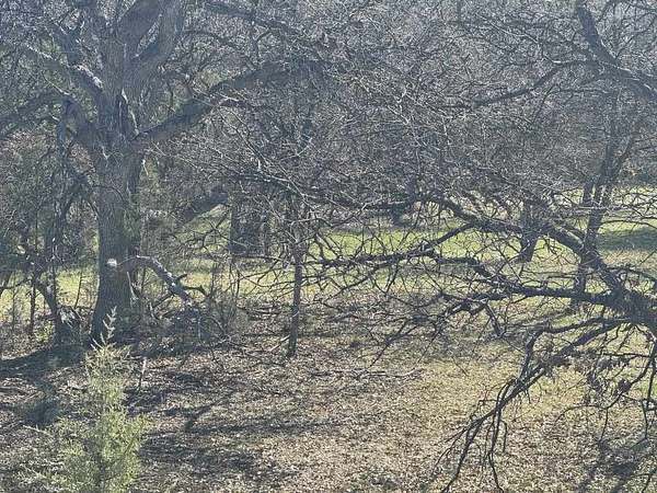 0.96 Acres of Land for Sale in Hornbrook, California