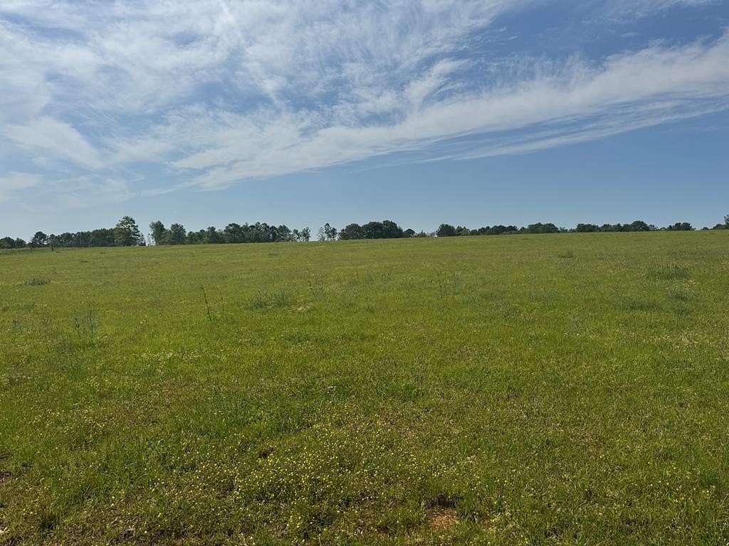 30 Acres of Agricultural Land for Sale in Lumpkin, Georgia