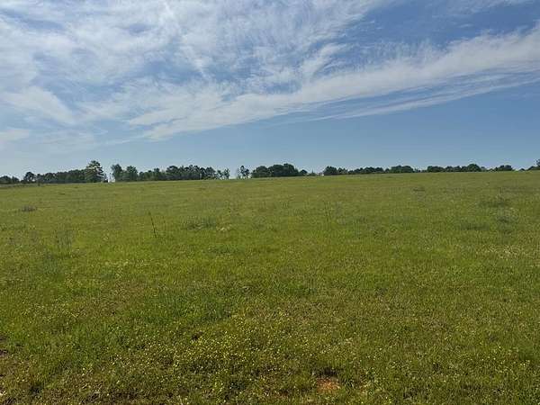 30 Acres of Agricultural Land for Sale in Lumpkin, Georgia