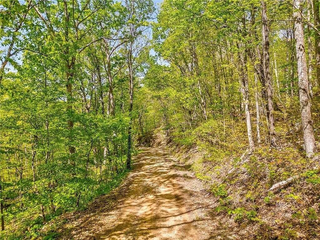 14.2 Acres of Recreational Land for Sale in Summerville, Georgia