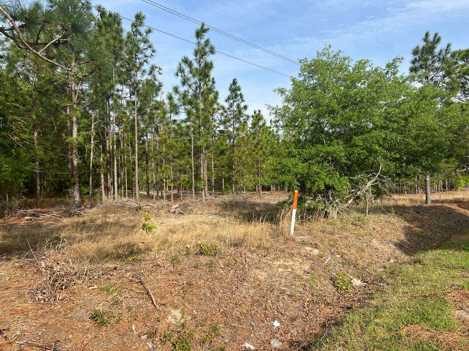11 Acres of Land for Sale in Hartsville, South Carolina