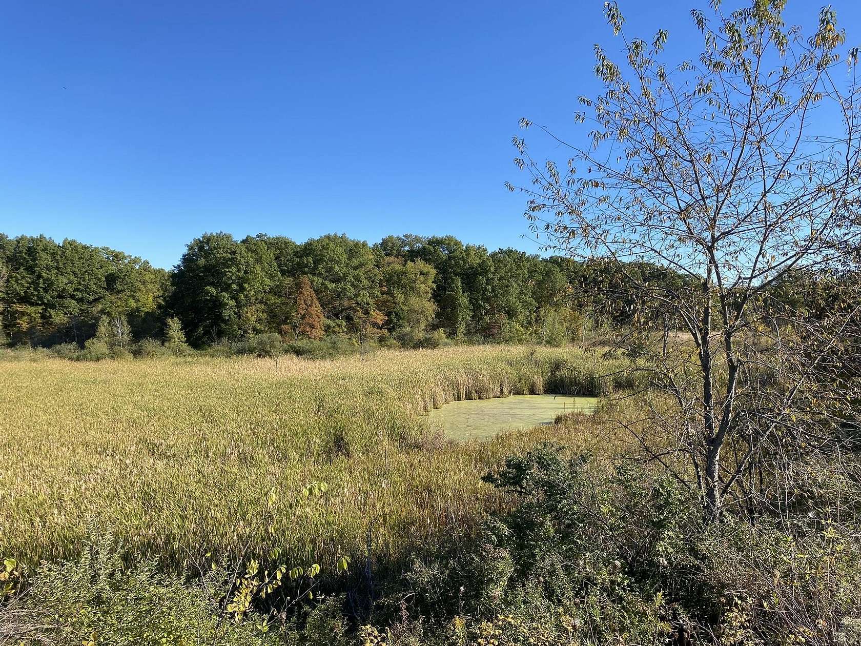 60 Acres of Recreational Land for Sale in Portage, Indiana
