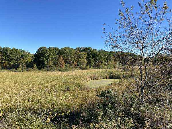 60 Acres of Recreational Land for Sale in Portage, Indiana