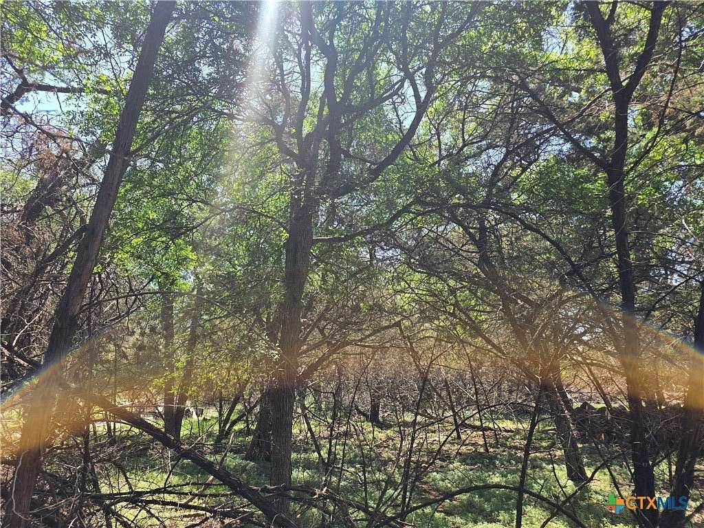 0.17 Acres of Land for Sale in Spring Branch, Texas