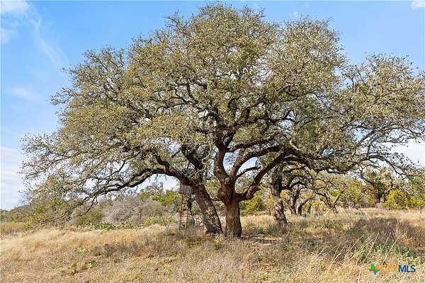 54.5 Acres of Recreational Land & Farm for Sale in Johnson City, Texas