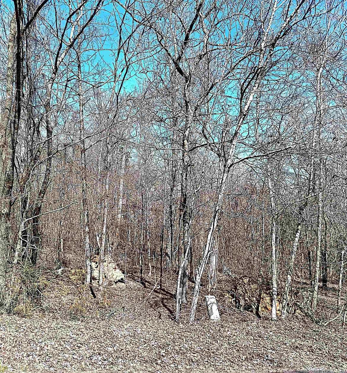 0.2 Acres of Residential Land for Sale in Hot Springs Village, Arkansas