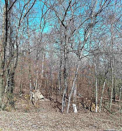 0.2 Acres of Residential Land for Sale in Hot Springs Village, Arkansas