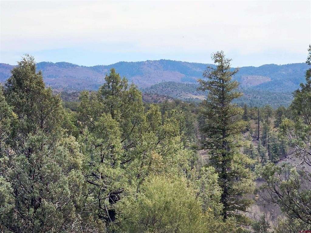 1.43 Acres of Residential Land for Sale in Pagosa Springs, Colorado