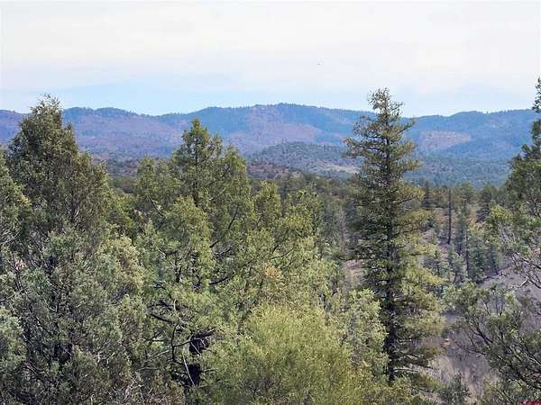 1.43 Acres of Residential Land for Sale in Pagosa Springs, Colorado