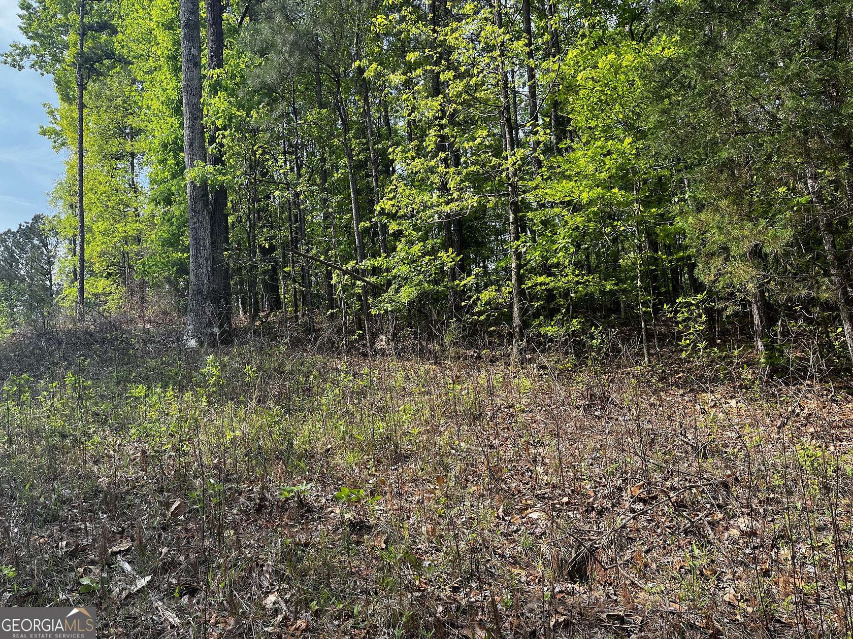1 Acre of Residential Land for Sale in LaGrange, Georgia