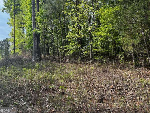 1 Acre of Residential Land for Sale in LaGrange, Georgia