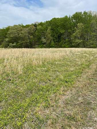 10 Acres of Residential Land for Sale in Alton, Virginia