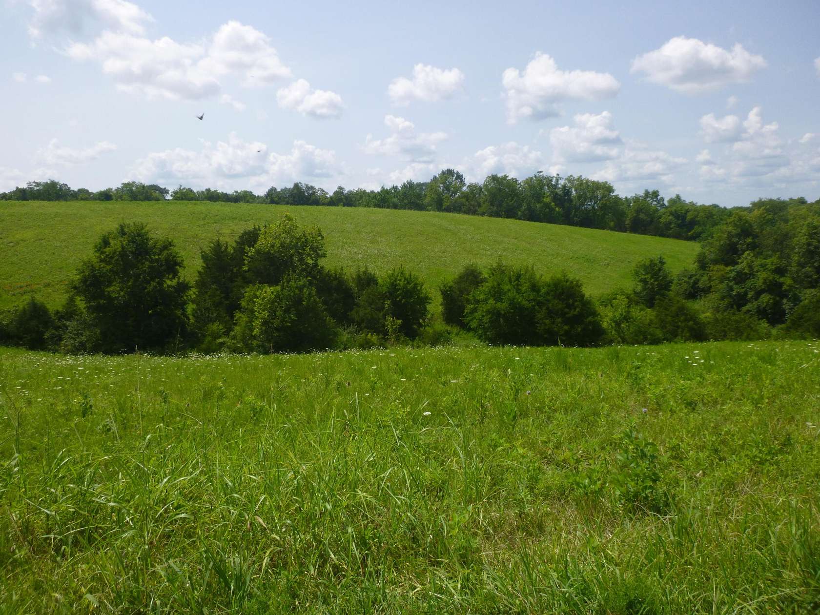 40.6 Acres of Agricultural Land for Sale in Frankfort, Kentucky