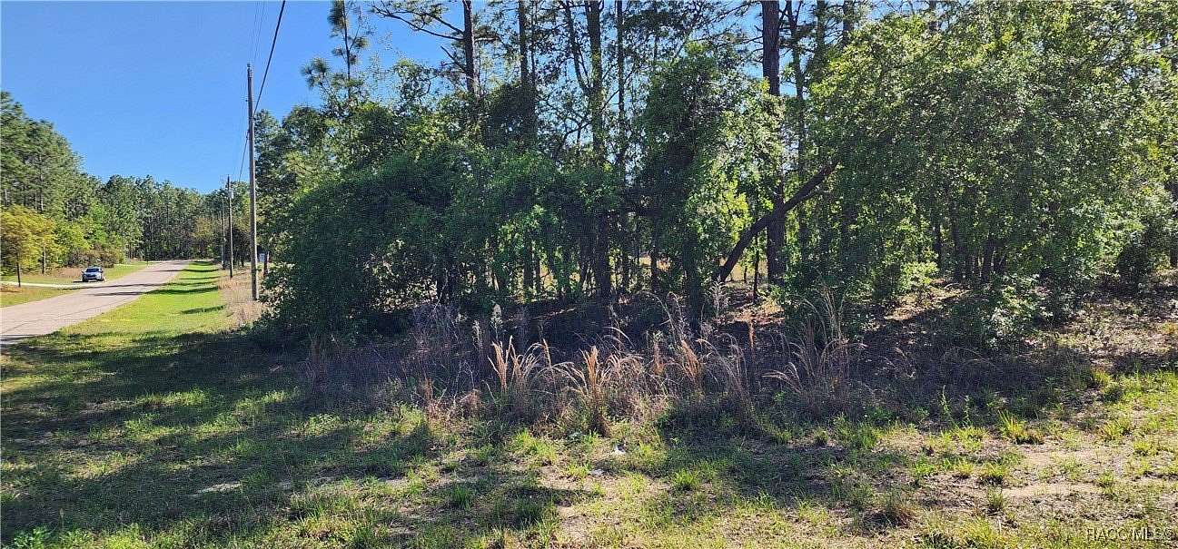 0.29 Acres of Residential Land for Sale in Citrus Springs, Florida