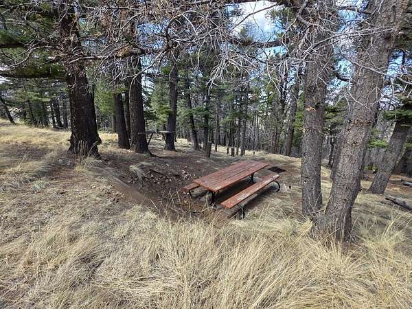 5.4 Acres of Land for Sale in Westcliffe, Colorado