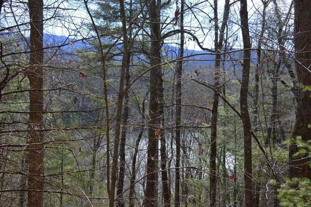 1.3 Acres of Residential Land for Sale in Robbinsville, North Carolina