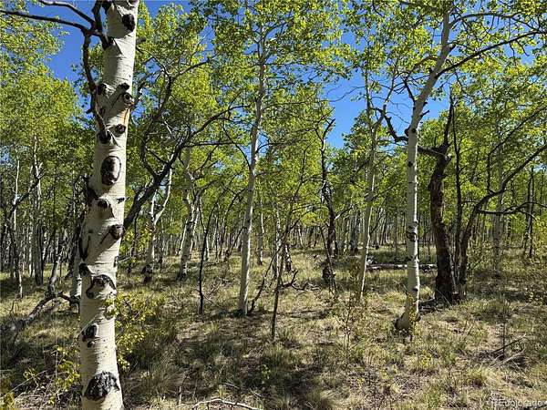 2.5 Acres of Residential Land for Sale in Hartsel, Colorado
