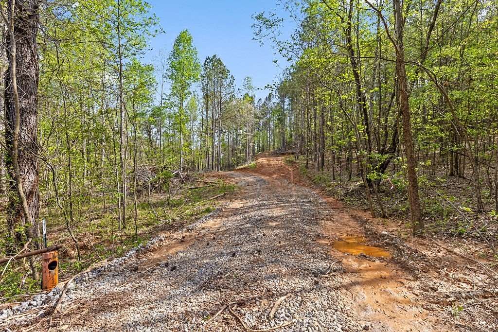 69.6 Acres of Recreational Land & Farm for Sale in Chatsworth, Georgia
