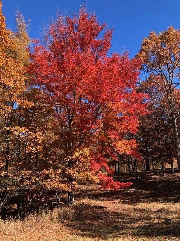 8.4 Acres of Residential Land for Sale in Dunlap, Tennessee