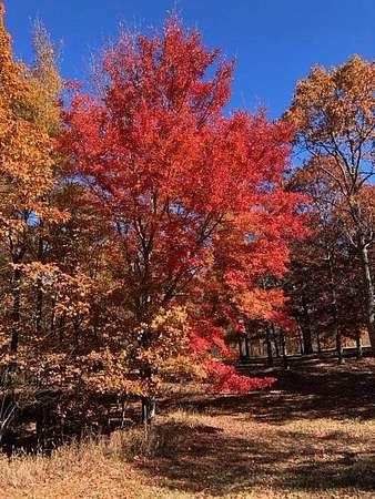 8.4 Acres of Residential Land for Sale in Dunlap, Tennessee