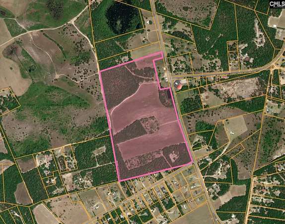 70.6 Acres of Land for Sale in Gaston, South Carolina