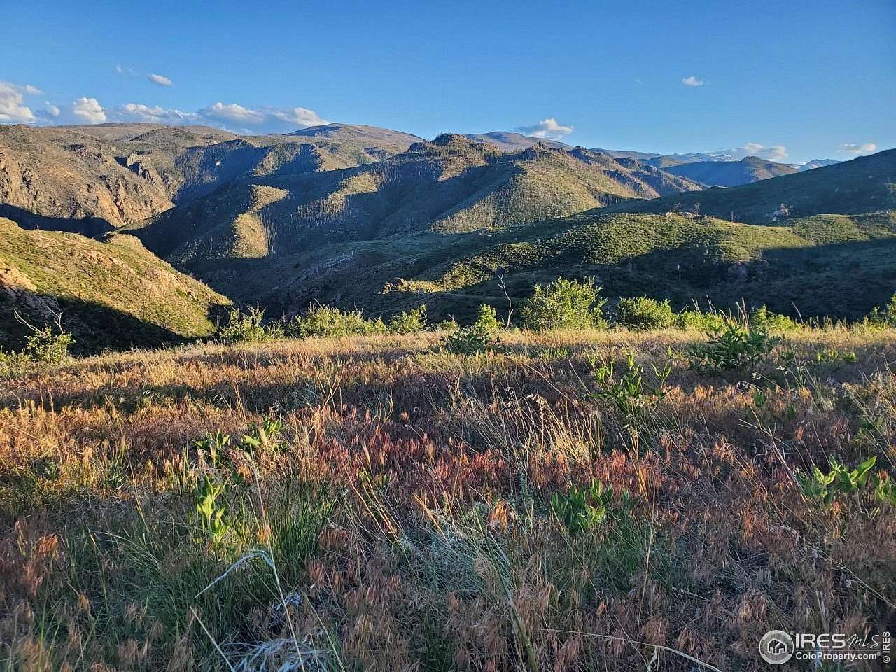 1.63 Acres of Land for Sale in Livermore, Colorado