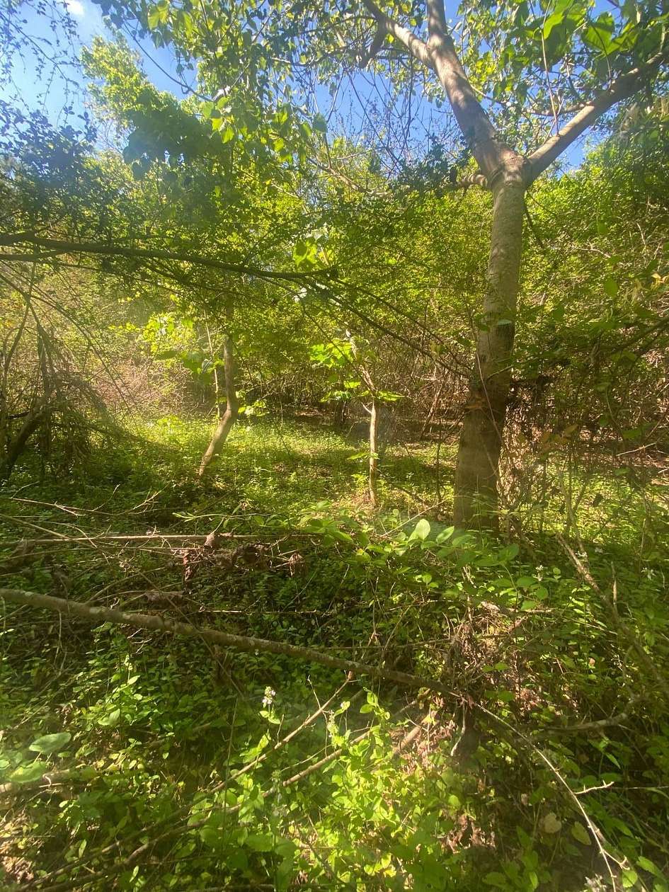 10.5 Acres of Recreational Land for Sale in Carriere, Mississippi