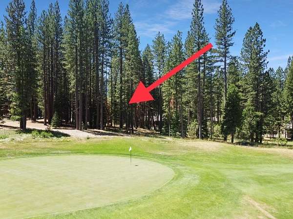 0.69 Acres of Residential Land for Sale in Clio, California