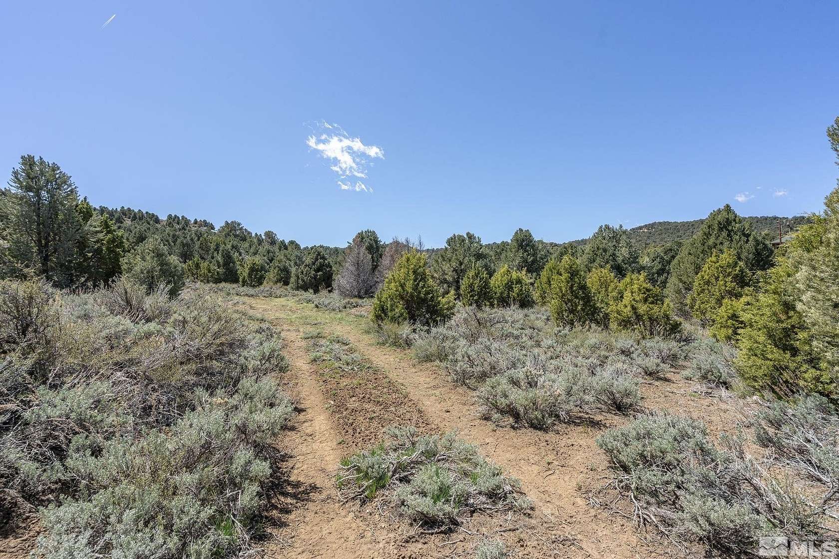 1 Acre of Residential Land for Sale in Reno, Nevada