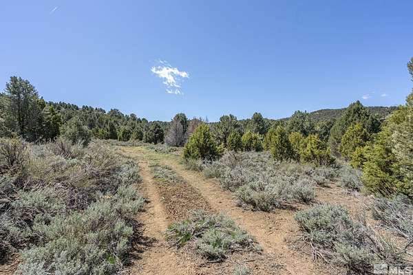 1 Acre of Residential Land for Sale in Reno, Nevada