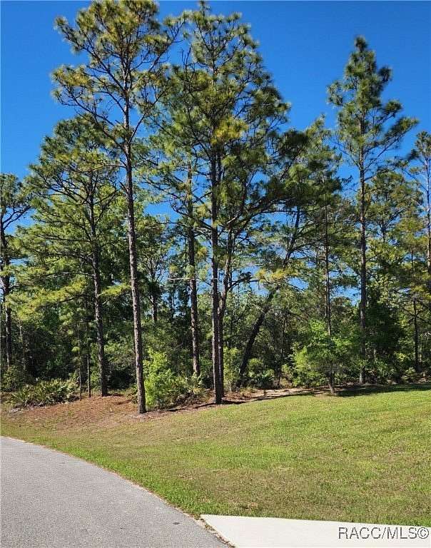 0.53 Acres of Residential Land for Sale in Dunnellon, Florida