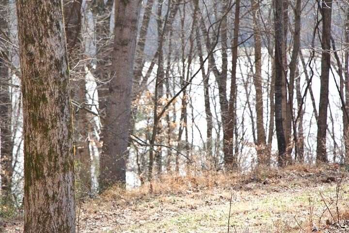 0.63 Acres of Residential Land for Sale in Lucas, Kentucky