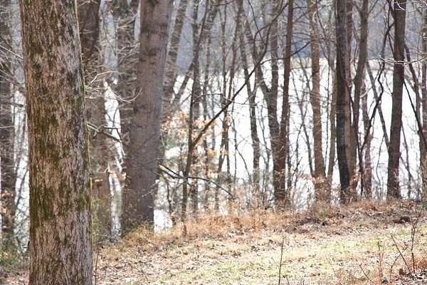 0.63 Acres of Residential Land for Sale in Lucas, Kentucky