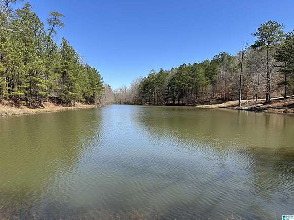 24 Acres of Land for Sale in Adger, Alabama