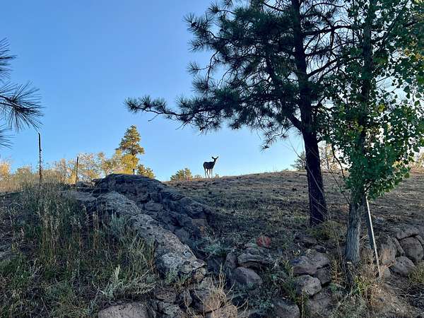 0.52 Acres of Residential Land for Sale in Los Alamos, New Mexico