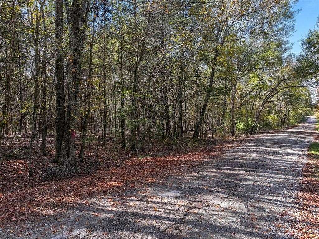 40.9 Acres of Land for Sale in Edgewood, Texas