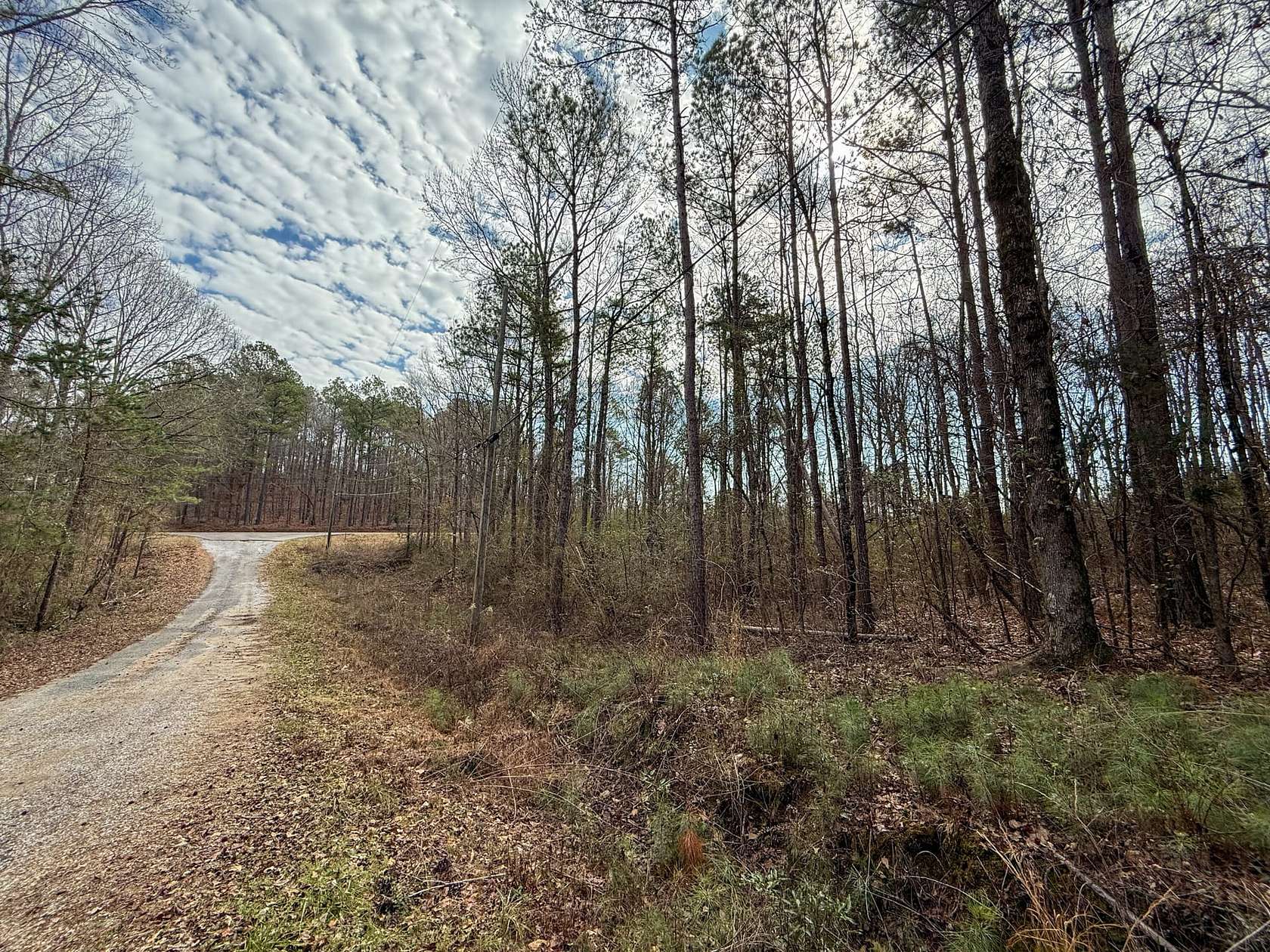 0.72 Acres of Residential Land for Sale in Wilsonville, Alabama