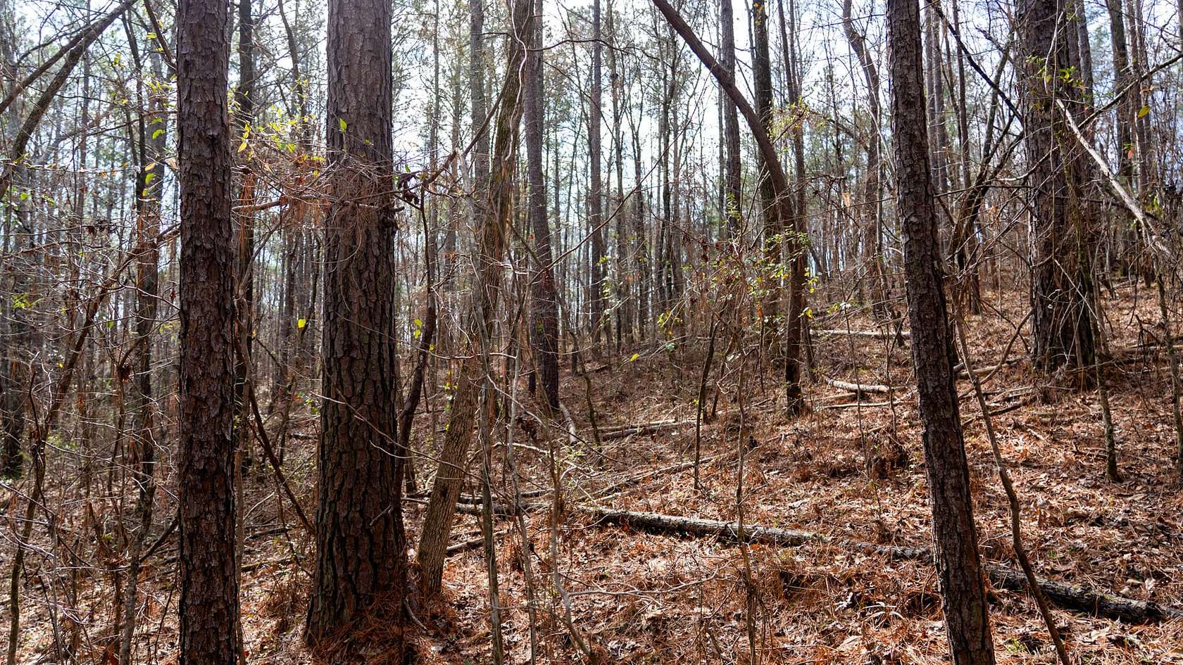 0.85 Acres of Residential Land for Sale in Wilsonville, Alabama
