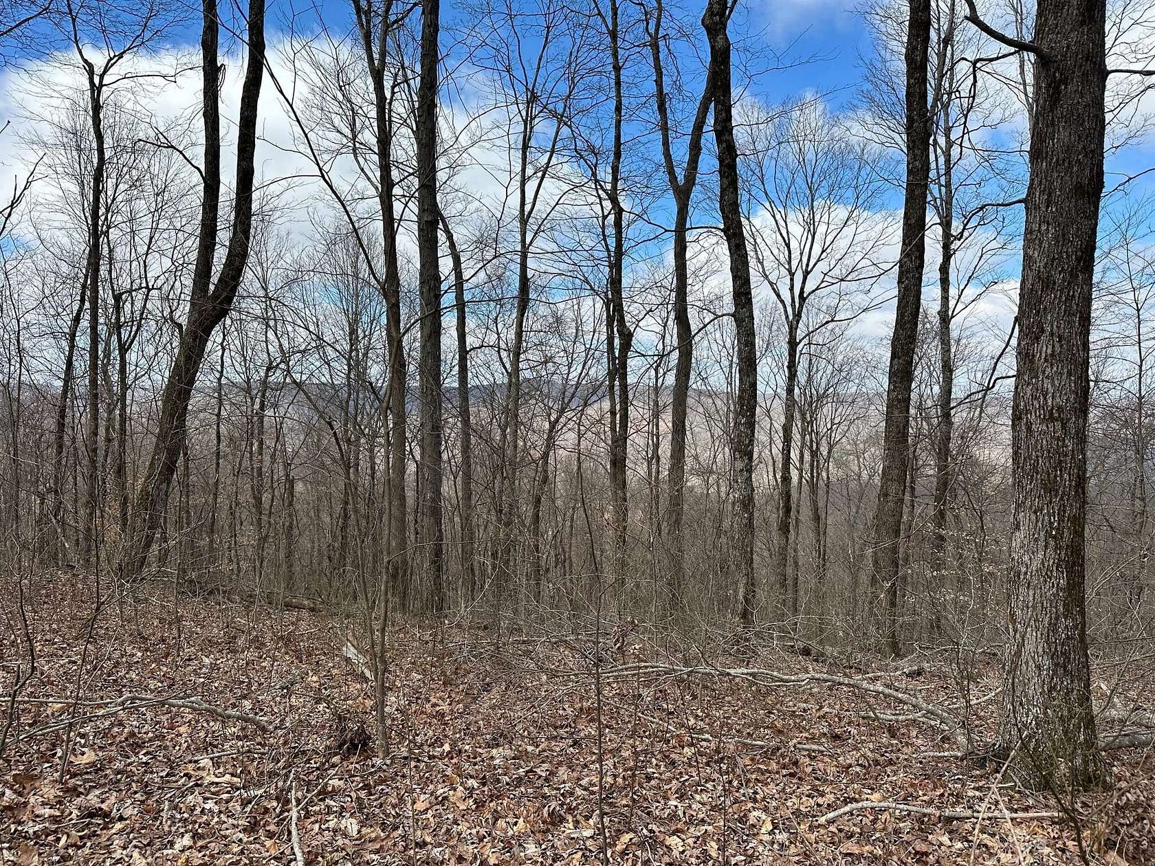126 Acres of Recreational Land for Sale in Beersheba Springs, Tennessee