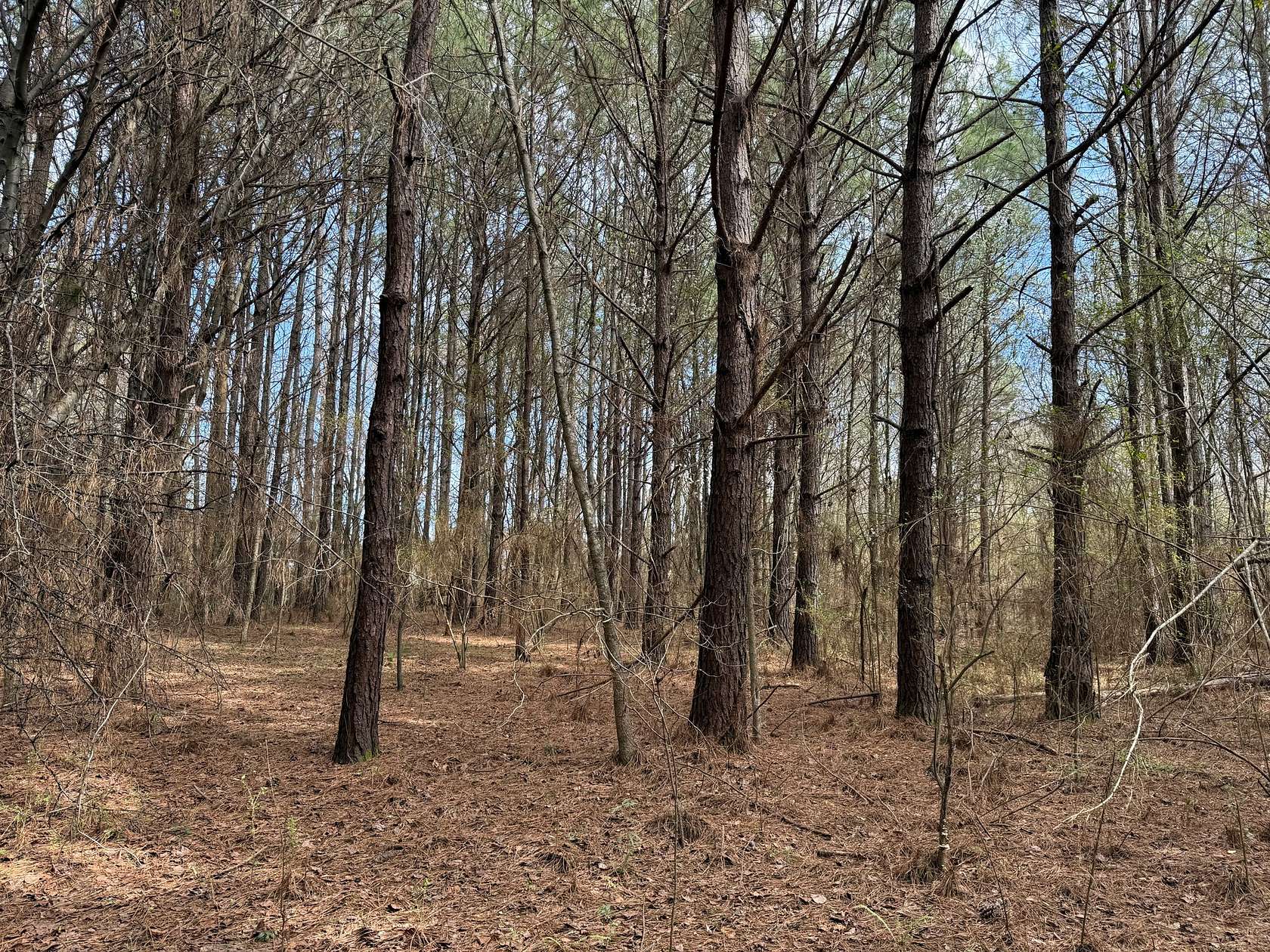 15 Acres of Commercial Land for Sale in Oak Grove, Alabama