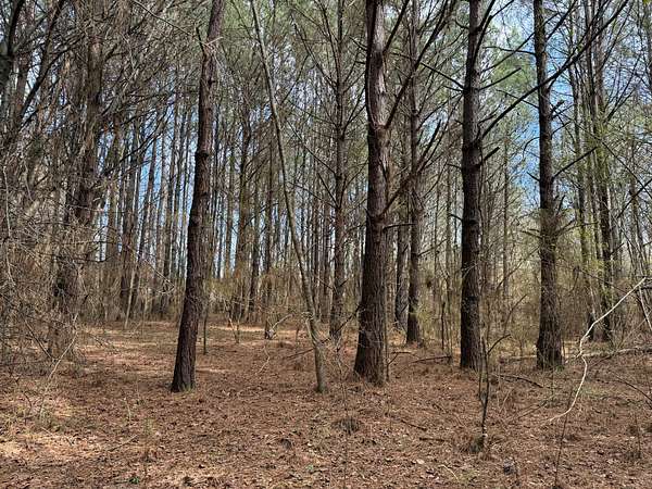 15 Acres of Commercial Land for Sale in Oak Grove, Alabama