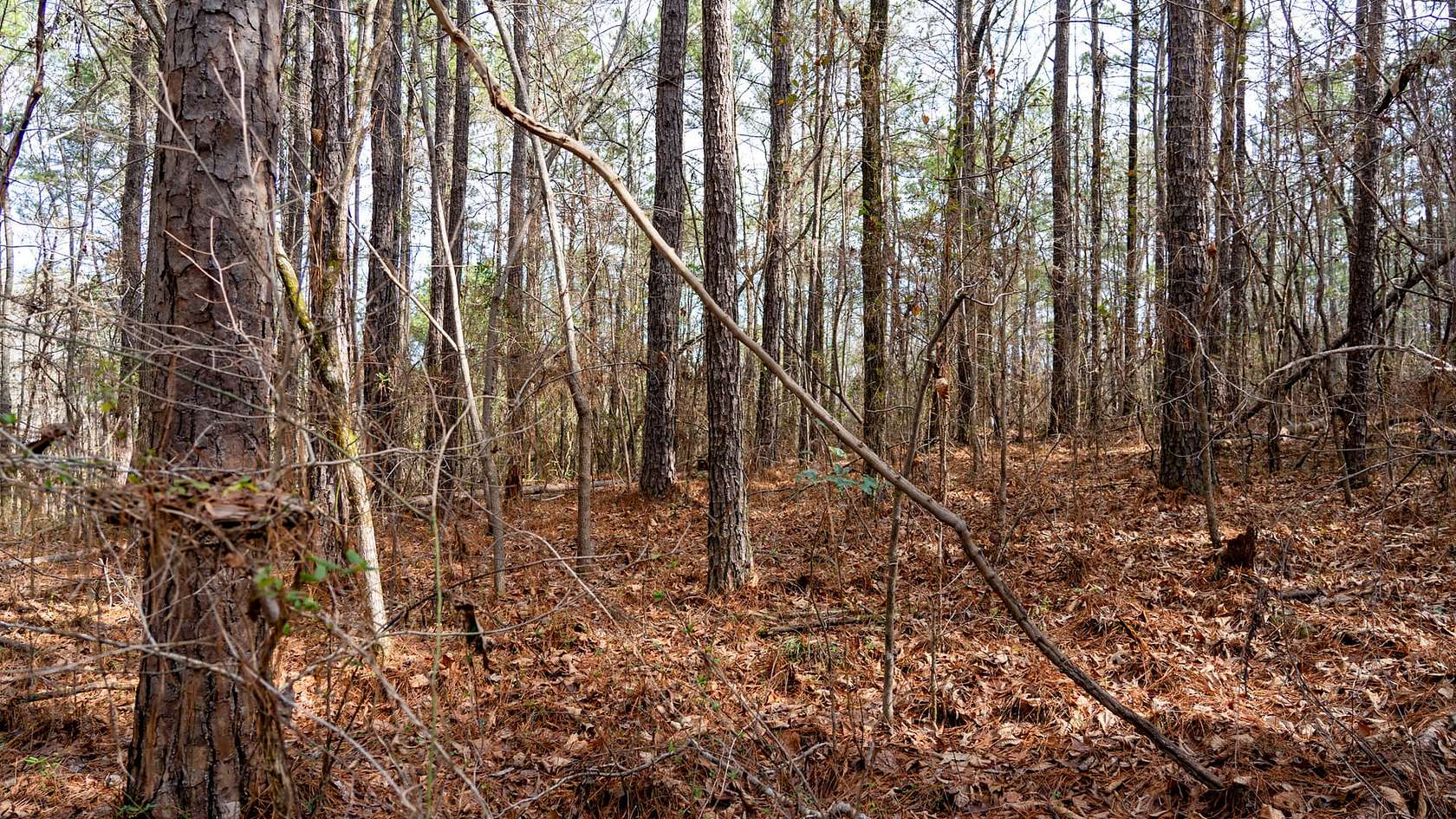 0.82 Acres of Residential Land for Sale in Wilsonville, Alabama