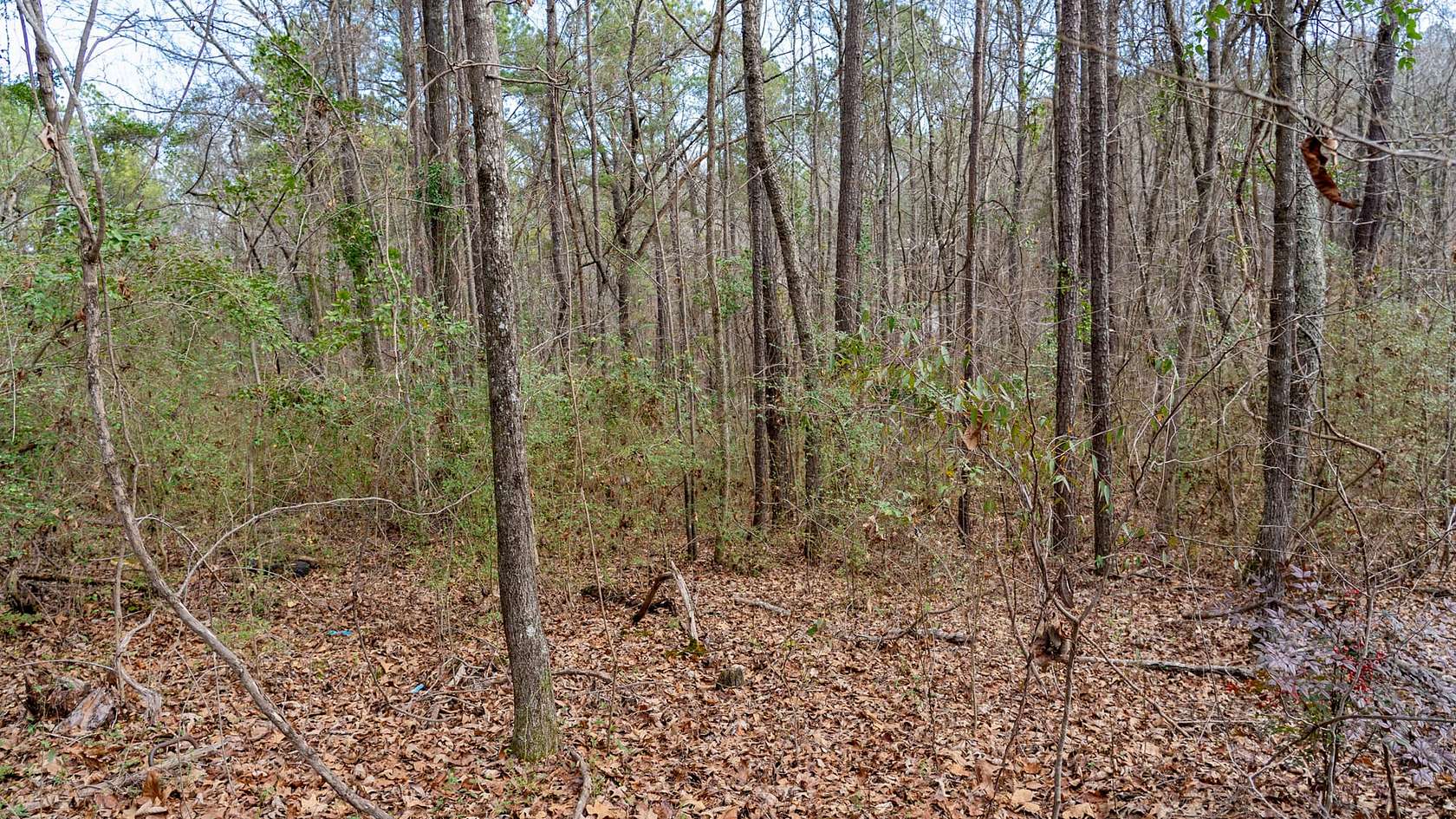 0.74 Acres of Residential Land for Sale in Wilsonville, Alabama
