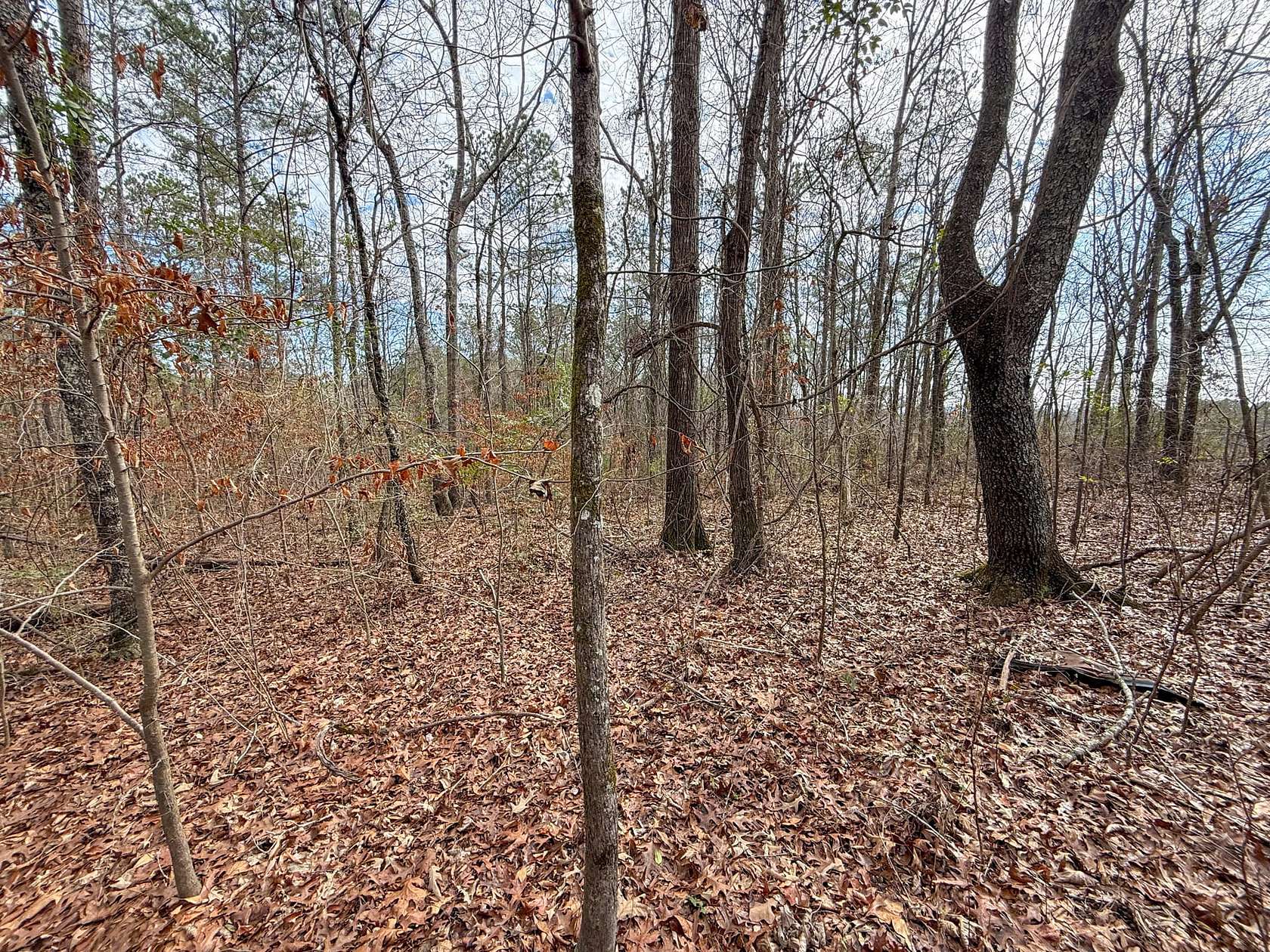 0.85 Acres of Residential Land for Sale in Wilsonville, Alabama