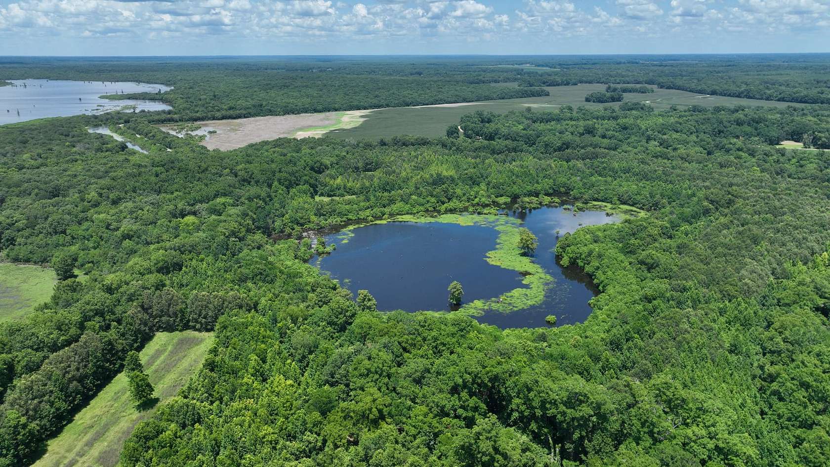 158 Acres of Recreational Land for Sale in Jena, Louisiana