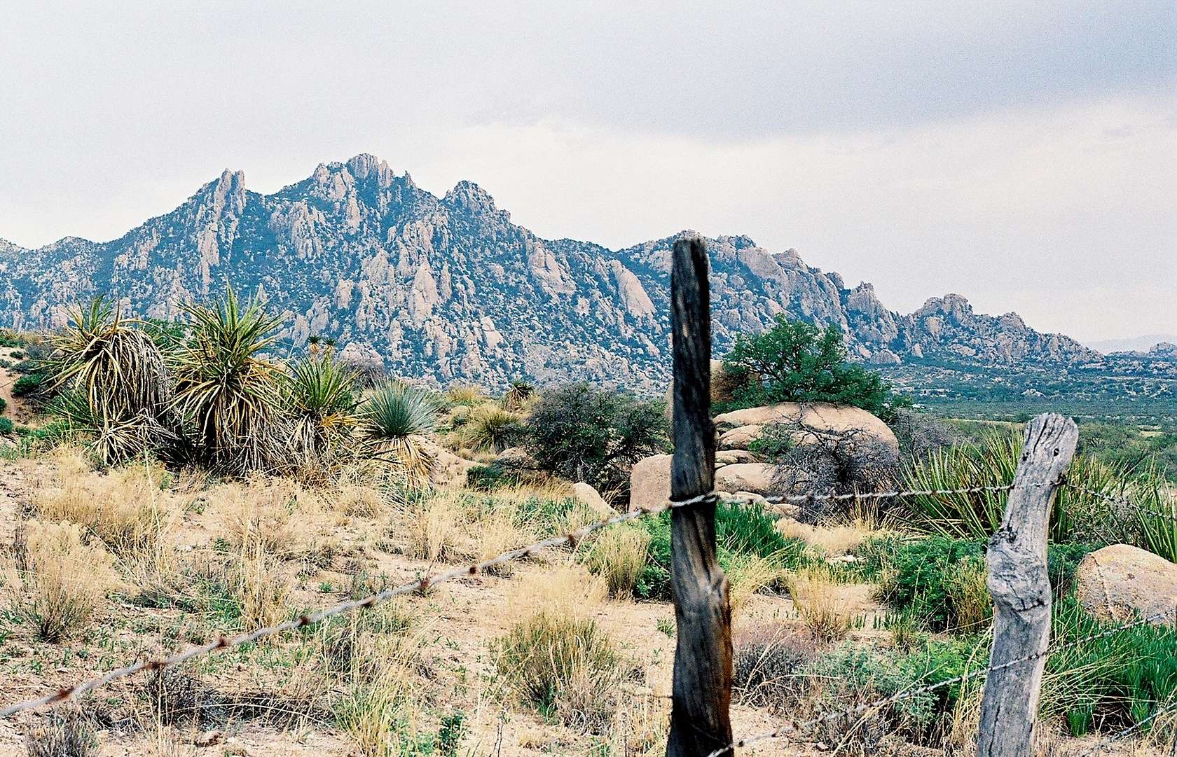 38.4 Acres of Land for Sale in St. David, Arizona