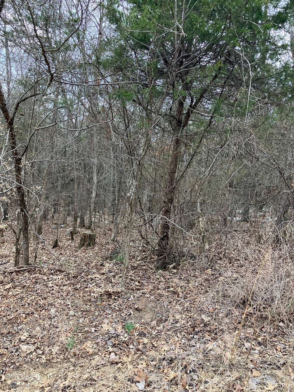 3 Acres of Agricultural Land for Sale in Evening Shade, Arkansas