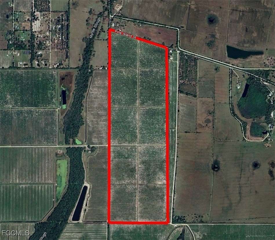 307 Acres of Land for Sale in Arcadia, Florida